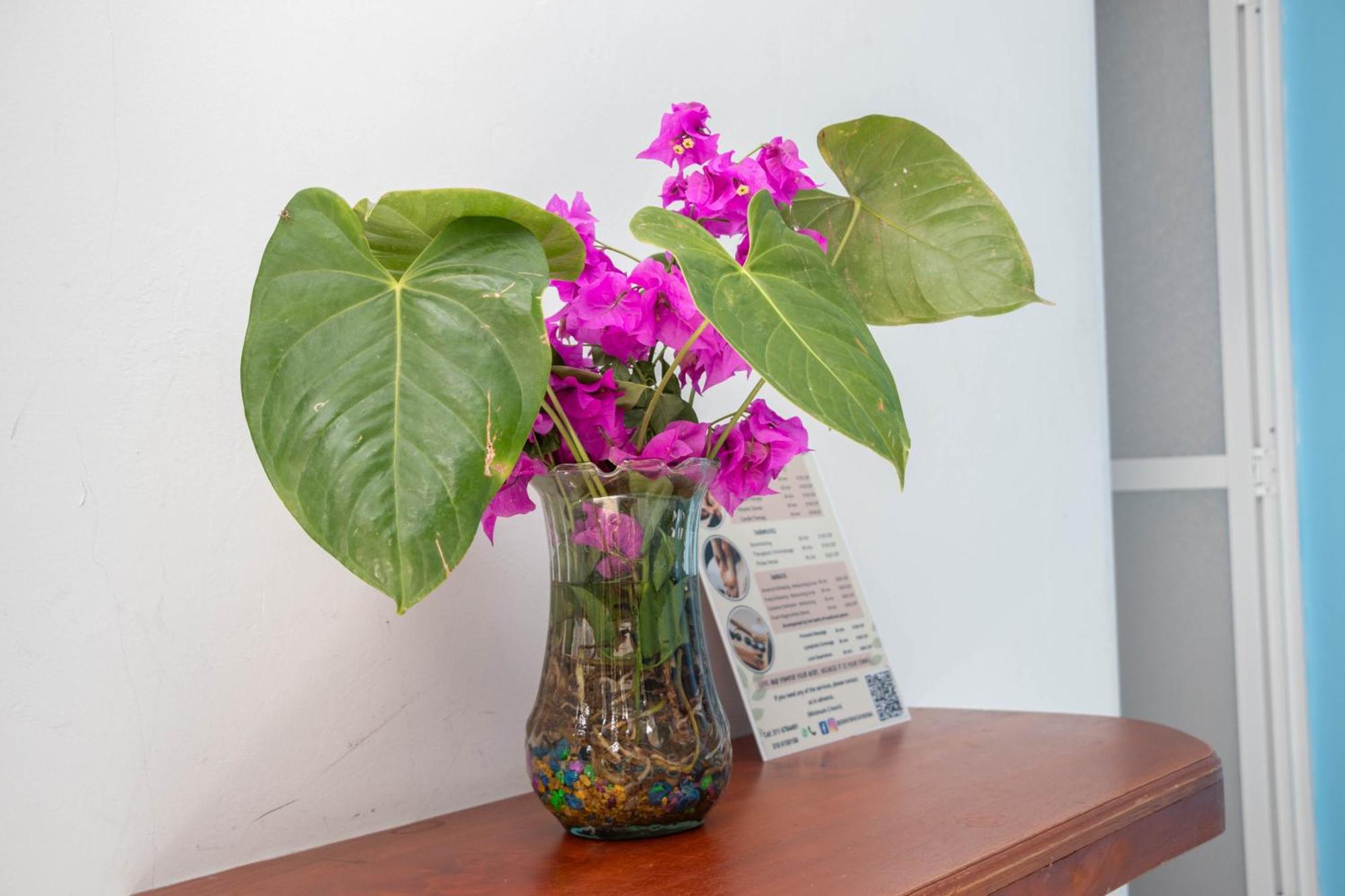 Hotel Manakin Tayrona Ел Заино Екстериор снимка