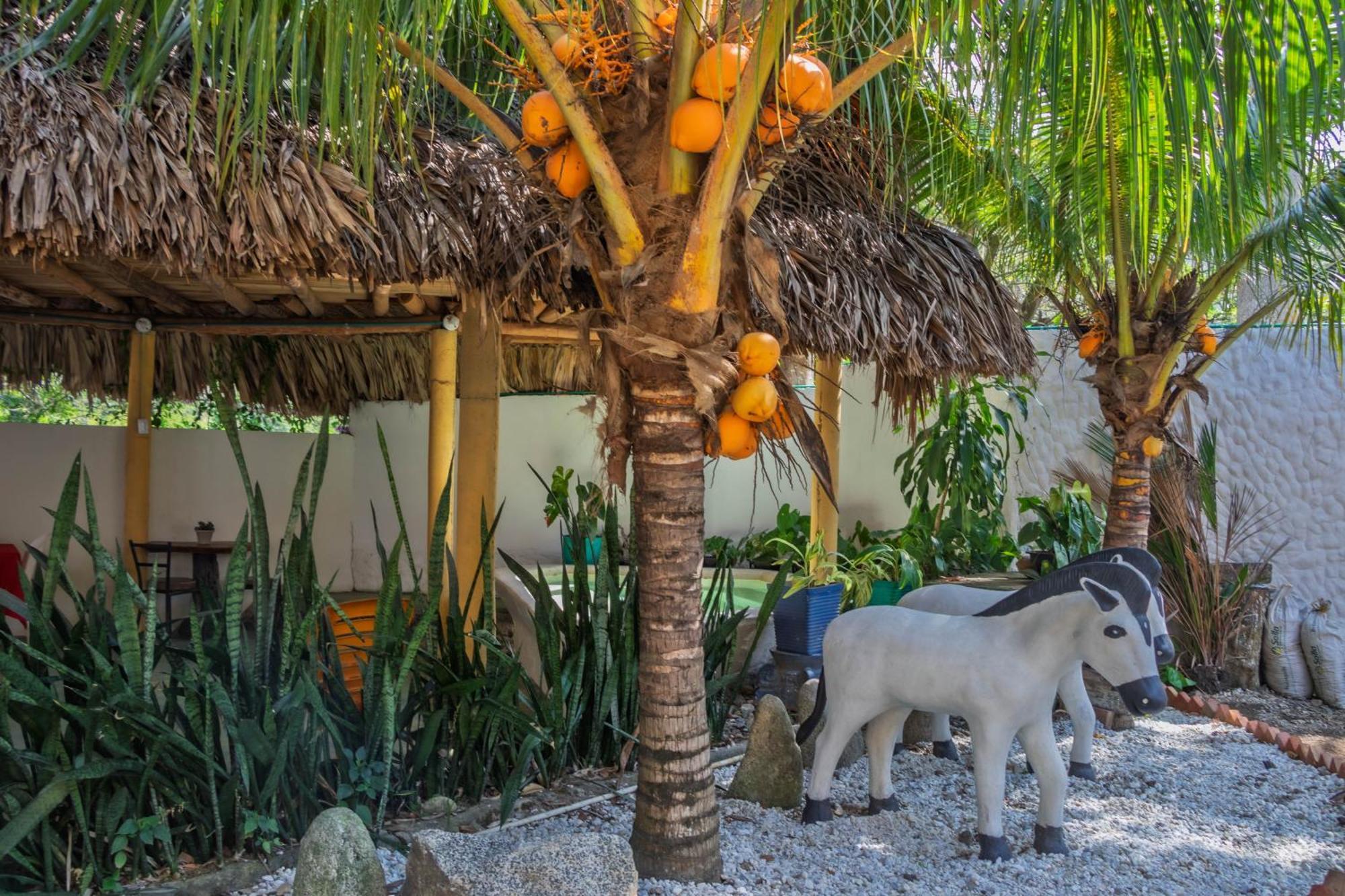 Hotel Manakin Tayrona Ел Заино Екстериор снимка